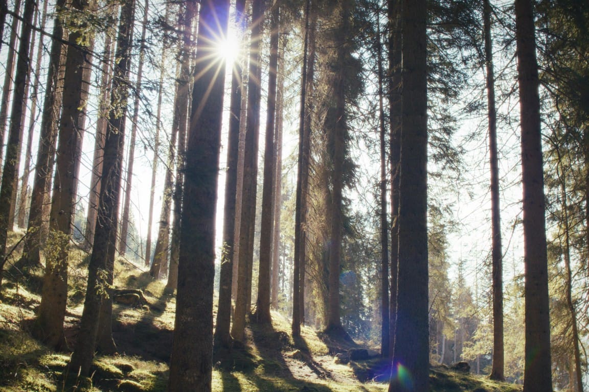 Tra visibile ed invisibile